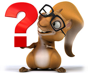Frequently Asked Questions, zippy the 