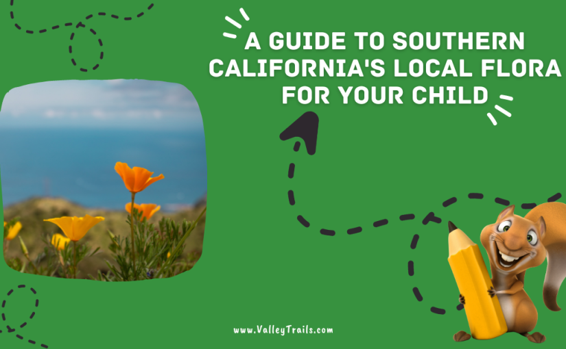 A Guide to Southern California’s Local Flora for Your Child